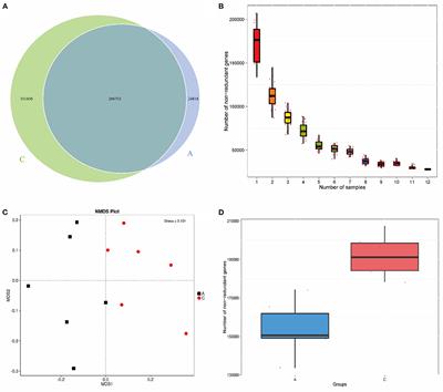Effects of starters with different NDF/starch ratio on rumen fermentation parameters and rumen microorganisms in lambs